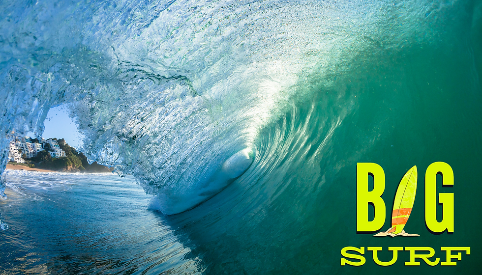 BIG SURF wall 8.png