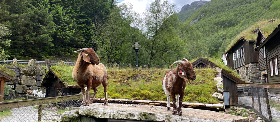 Med strikke-søstre og "vevkjerringer" til Byrkedalstunet...