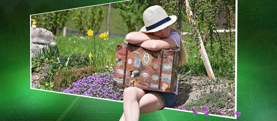 Forord: Planlegging av reise til Mexico