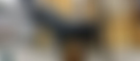 På "elg-safari" og kor-tur til Hønefoss