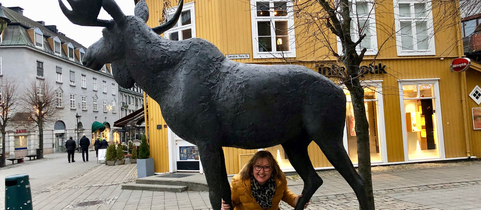 På "elg-safari" og kor-tur til Hønefoss