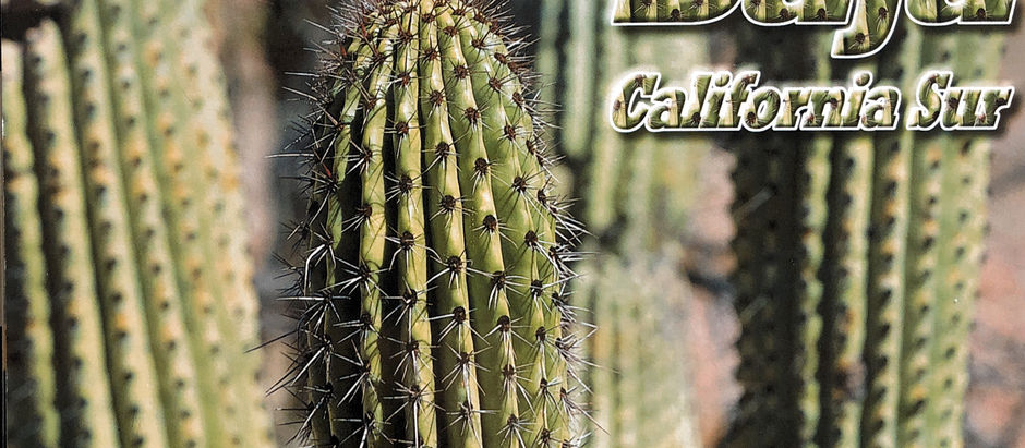 Siste etappe - mot Tijuana