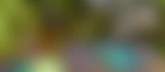 Siste dag i Playa...