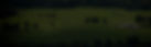 where1_edited.jpg