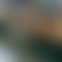 Introducing Blue Action Canada