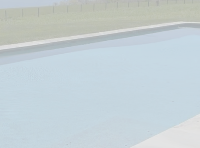 pool with a view