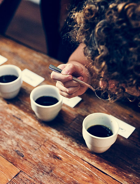 professional coffee tasting