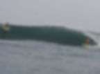 le punta