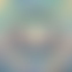 ARTS IMPRESSIONISTES