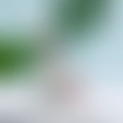 EMOTIONS-DECORATIONS ACHETER-BUY-COMPRAR-买-買う-לִקְנוֹת-يشتري