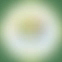 DIETETICIENNE-DIETETITIAN