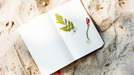 TreeSisters Letters to the Earth