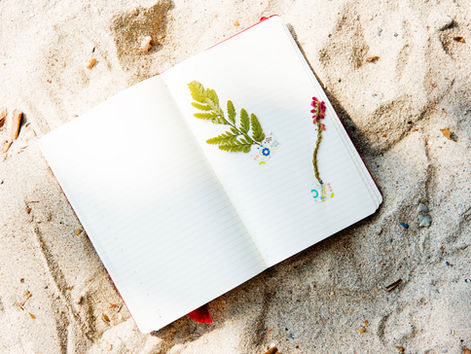 Homeschooling 101: 7 Items to Research and Think About Before Homeschooling Your Children