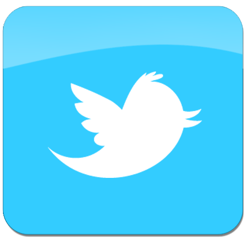 twitter-bird-pic.jpg