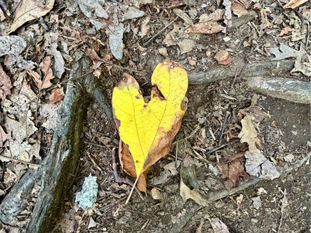 Caring For The Caregivers