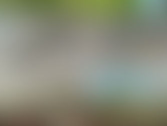 The World is Your Oyster