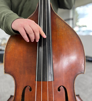 Double Bass.jpeg
