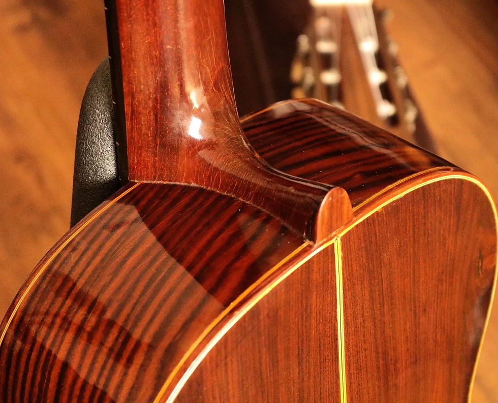 Miniatura: Violão Di Giorgio Signorina Luxo de 1966