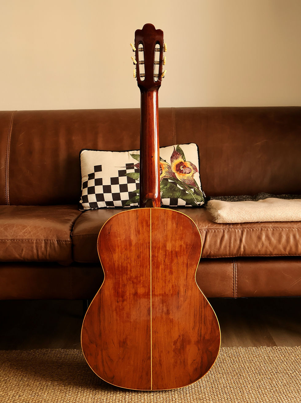Miniatura: Violão Di Giorgio Estudante 18 - 1970