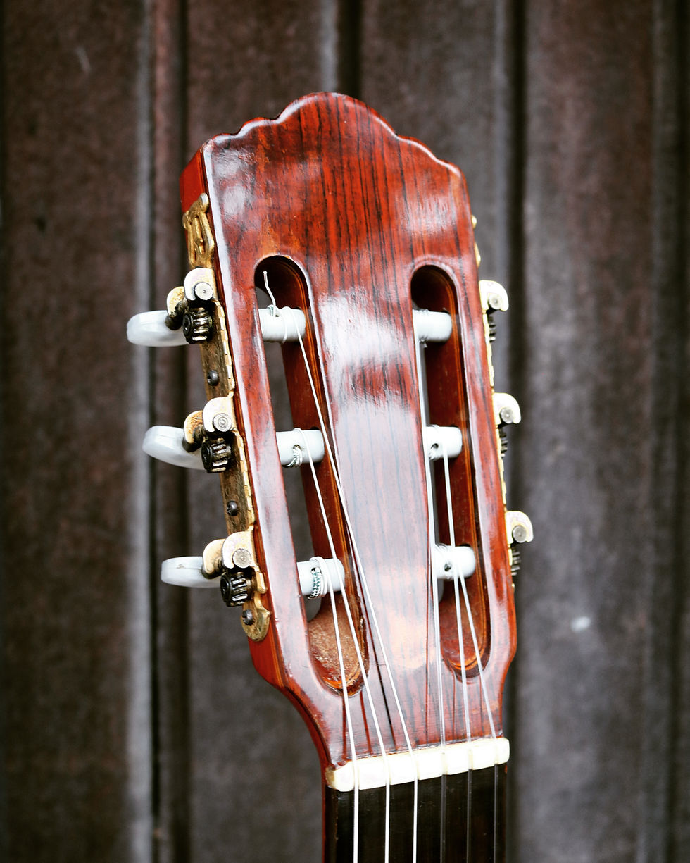 Miniatura: Violão Di Giorgio Romeo 3 de 1995