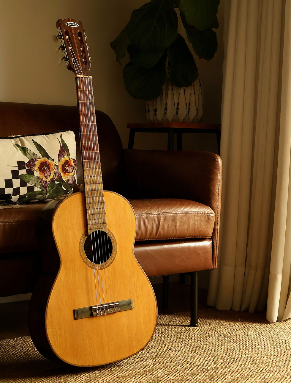 Miniatura: Violão Tranquillo Giannini N514/ Anos 60