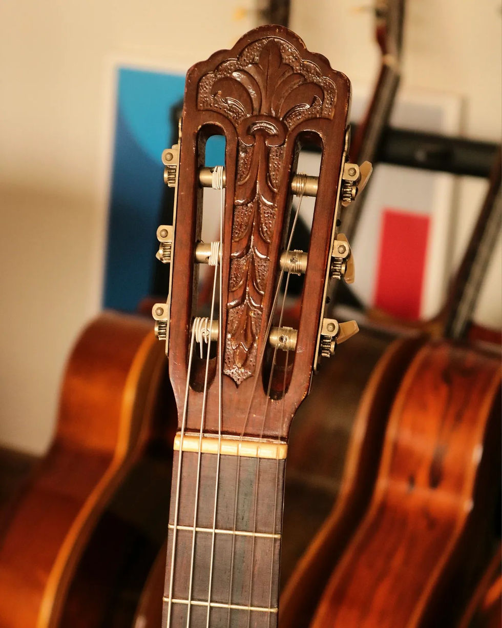 Miniatura: Violão Di Giorgio Signorina Luxo de 1966