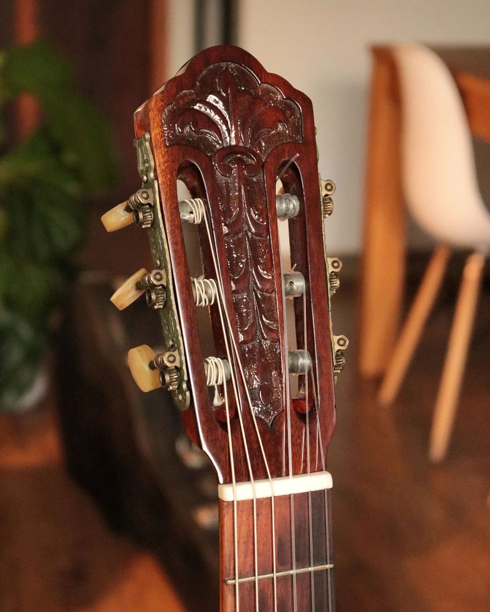 Miniatura: Violão Di Giorgio Estudante 18 de 1970