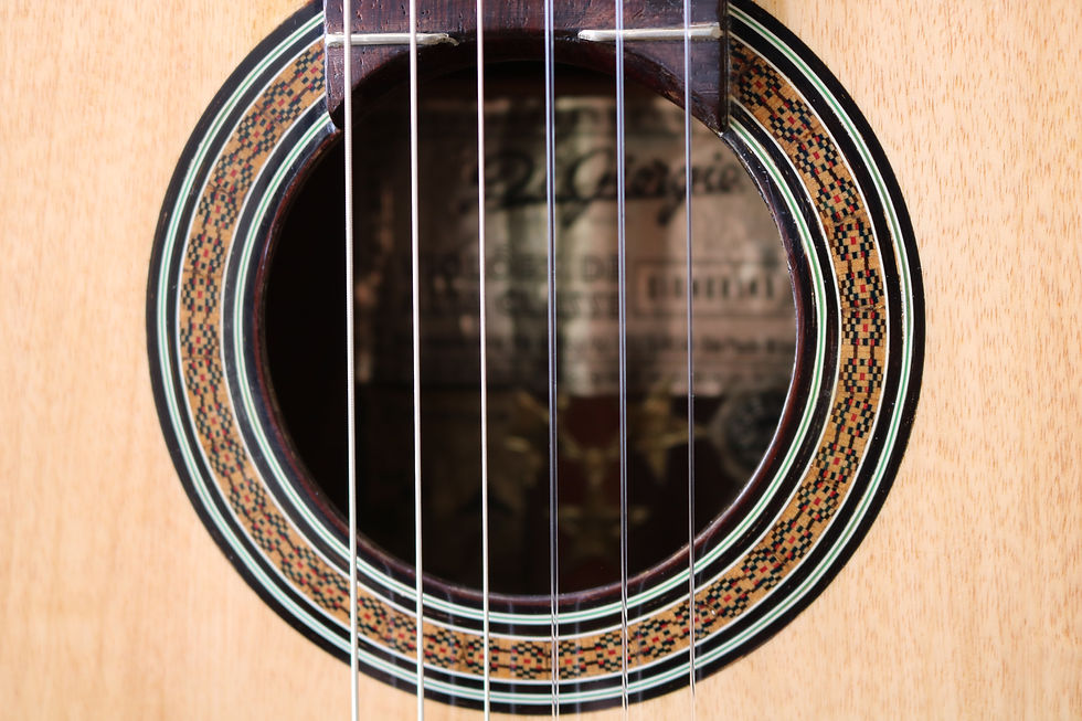 Miniatura: Violão Antigo Di Giorgio Signorina/ Série Ouro/ 1965
