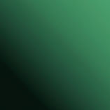 background grean and black.jpg