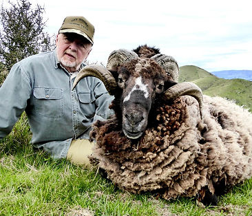 Phil-with-a-2-curl-Arapawa-Ram.jpeg