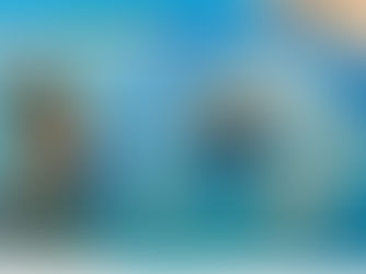 Le « sauver des eaux »