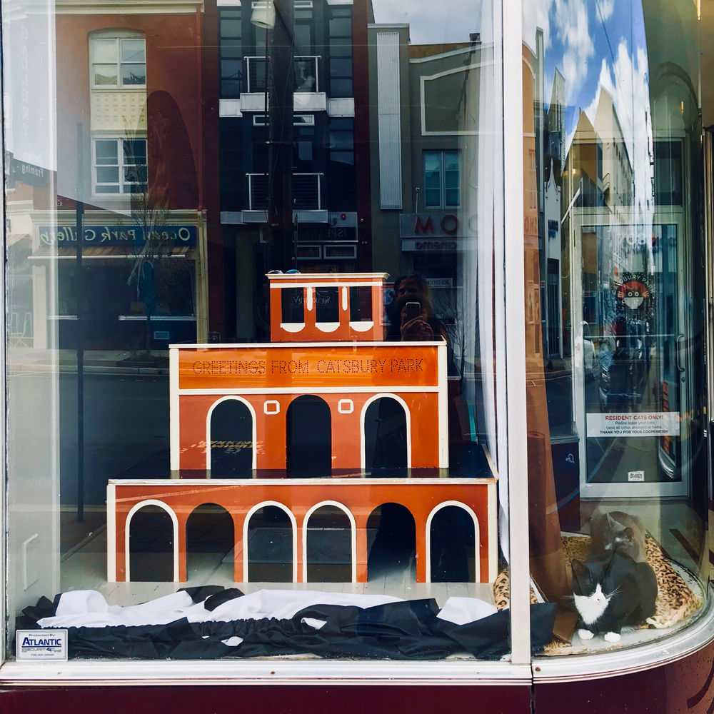 Catsbury Park Cat Convention Unique visit to Asbury Park, NJ