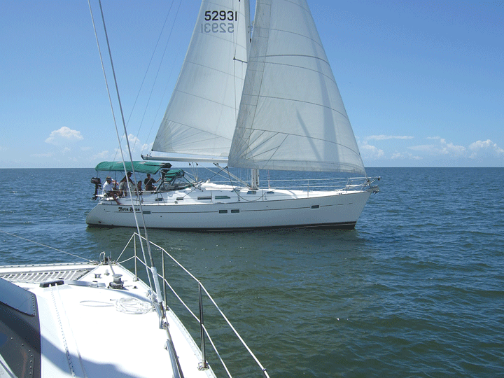 Regatta - Ladies Day Race, Marco Island