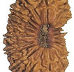 Rudraksha beads Crystal Soap With Rocks