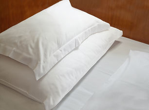 Guest Bed