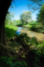 Wallop Brook 3
