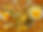 Screenshot 2024-08-10 at 1.03.41 PM.png