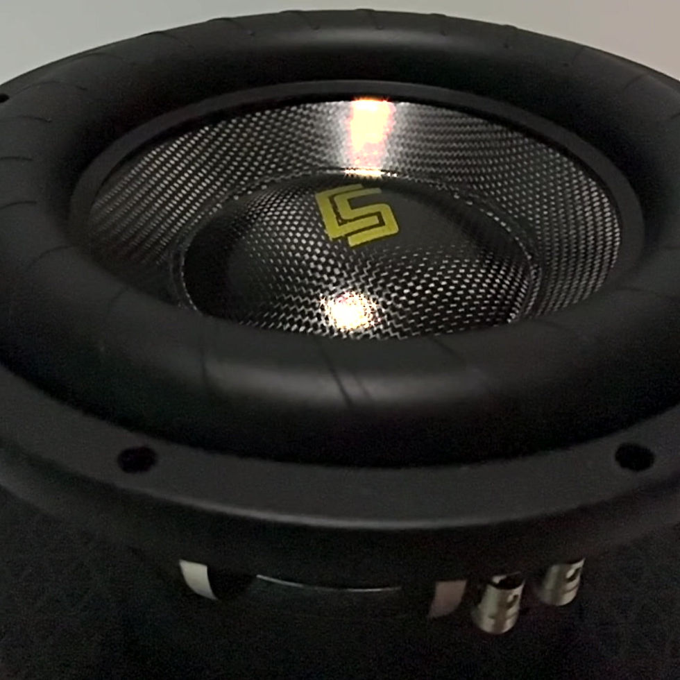 Thumbnail: Apollo 10" Subwoofer (1 Unit)