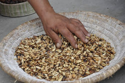 les amandes