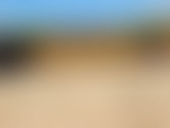 Mould & Yeast in Forages