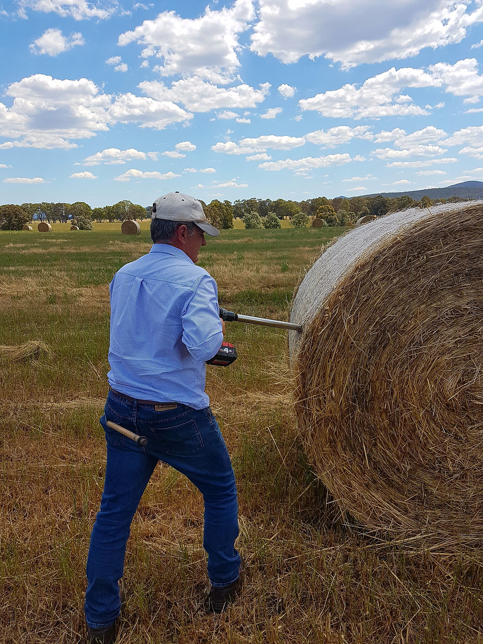 2025-26 Hay & Silage Expectations