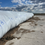 Thumbnail: Silage and Grain Bags