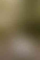 What to wear for engagement photos: an engaged couple wearing a white flowy dress and a linen button up and jeans.