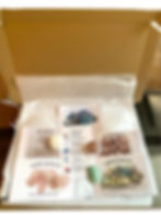 Thumbnail: A Forgiveness Crystal Box Set arranged with five crystals, presented in a letterbox‑friendly gift box – personalised