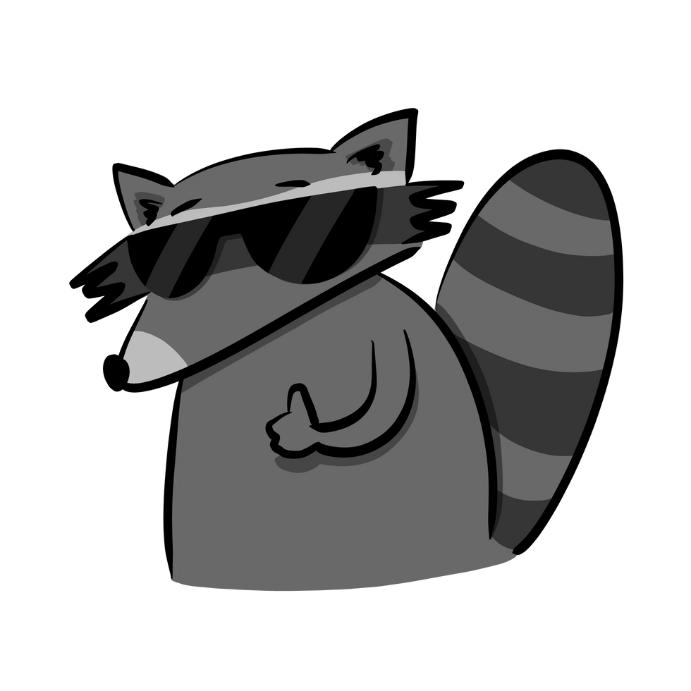 cool raccoon