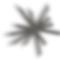 STAR 01_edited_edited_edited.png