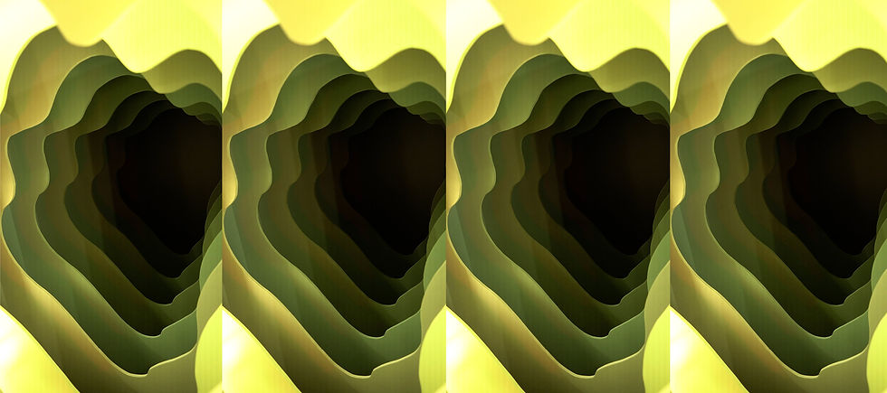 amoeba_banner.jpg