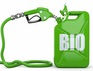 biofuel_570_850.jpg