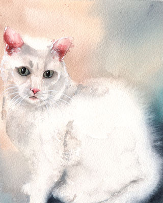 Watercolor pet portrait of a white cat, hand-painted custom cat portrait