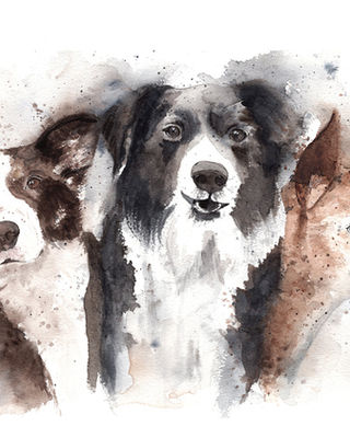 Watercolor pet portrait of three dogs together, hand-painted custom dog portrait